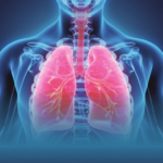 lungs